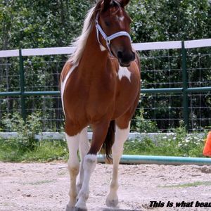 Meet your Posher, Lori